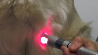 zoom sur la partie traité au laser