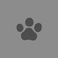 Clinique vétérinaire du marché