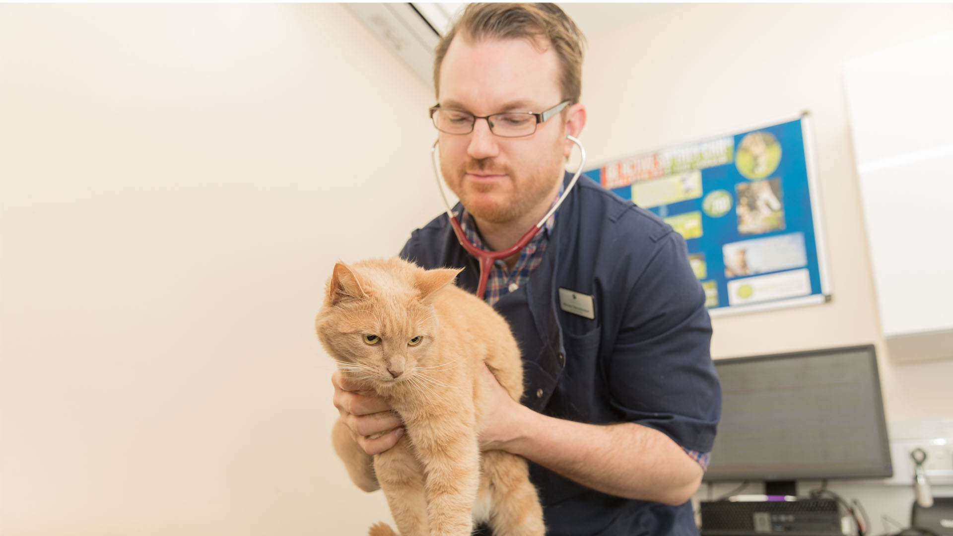 Service De Cardiologie Clinique Veterinaire A L Isle Adam Clinique Veterinaire Evolia