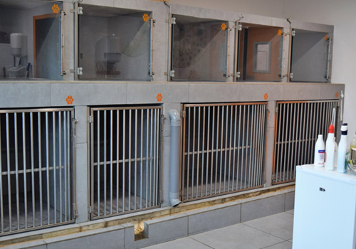 Chenil hospitalisation