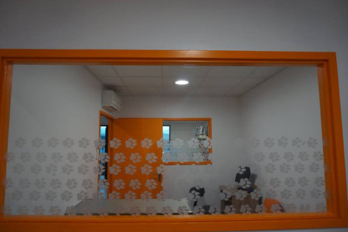 Salle examen fenetre