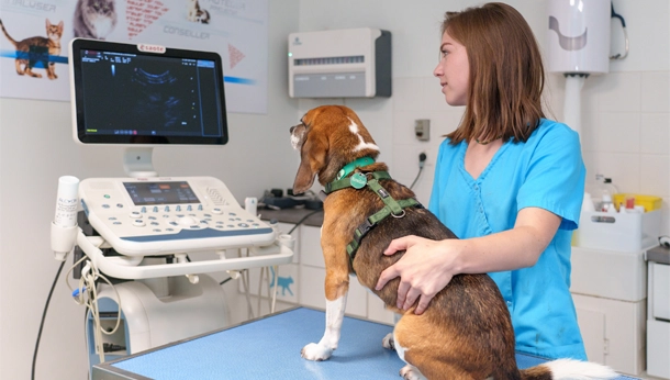 Service Imagerie - Clinique vétérinaire Abbatiale