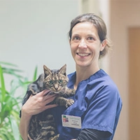 ALINE LAURENT - Docteur Vétérinaire