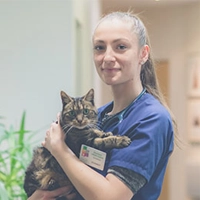 EMELINE VIVENOT - Docteur Vétérinaire