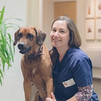 VIRGINIE CONGNARD - Docteur Vétérinaire