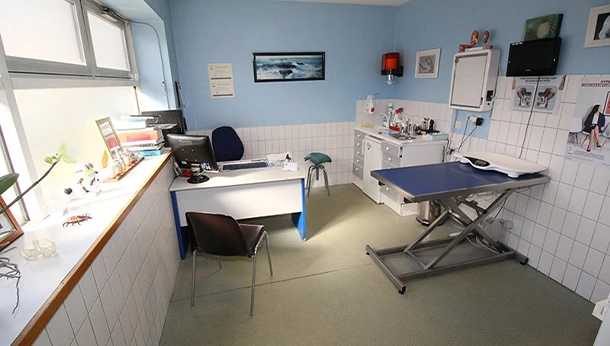 Salle de consultation Clinique vétérinaire Foch à Meaux