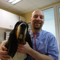 Stéphane Larboulette - Docteur Vétérinaire