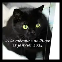 Hope - Mascotte