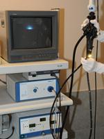 Endoscope Lézarde