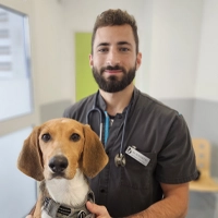 Dr Jules TOGNETTI - Vétérinaire