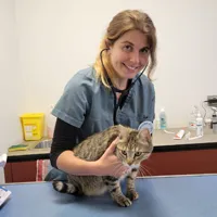 Dr Guillemet Diane - Vétérinaire, formée à la médecine interne et l’échographie